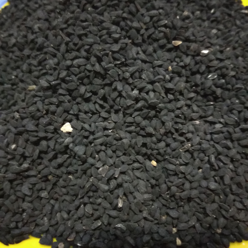 Nigella seeds in malay